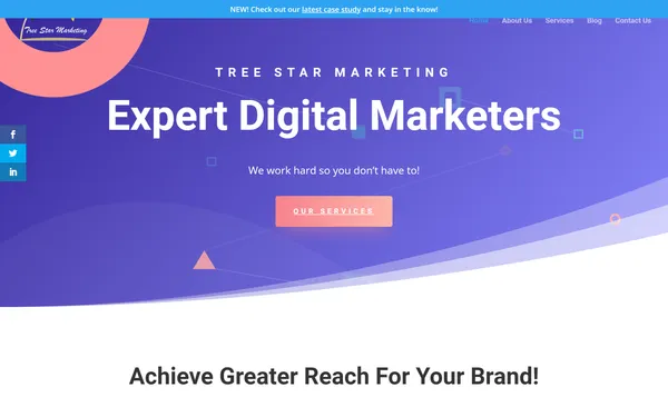 img of B2B Digital Marketing Agency - Tree Star Marketing